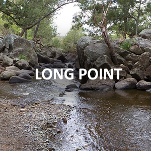 longpoint      
